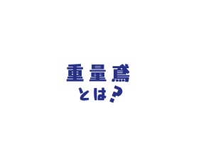 top_catch002