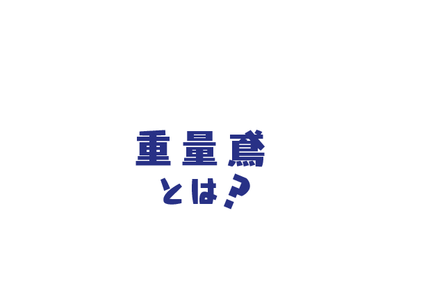 重量鳶とは？